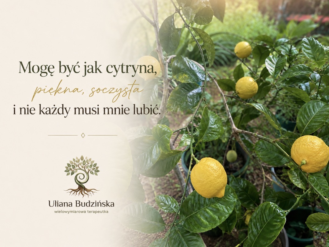 Read more about the article Cytryna filozoficznie