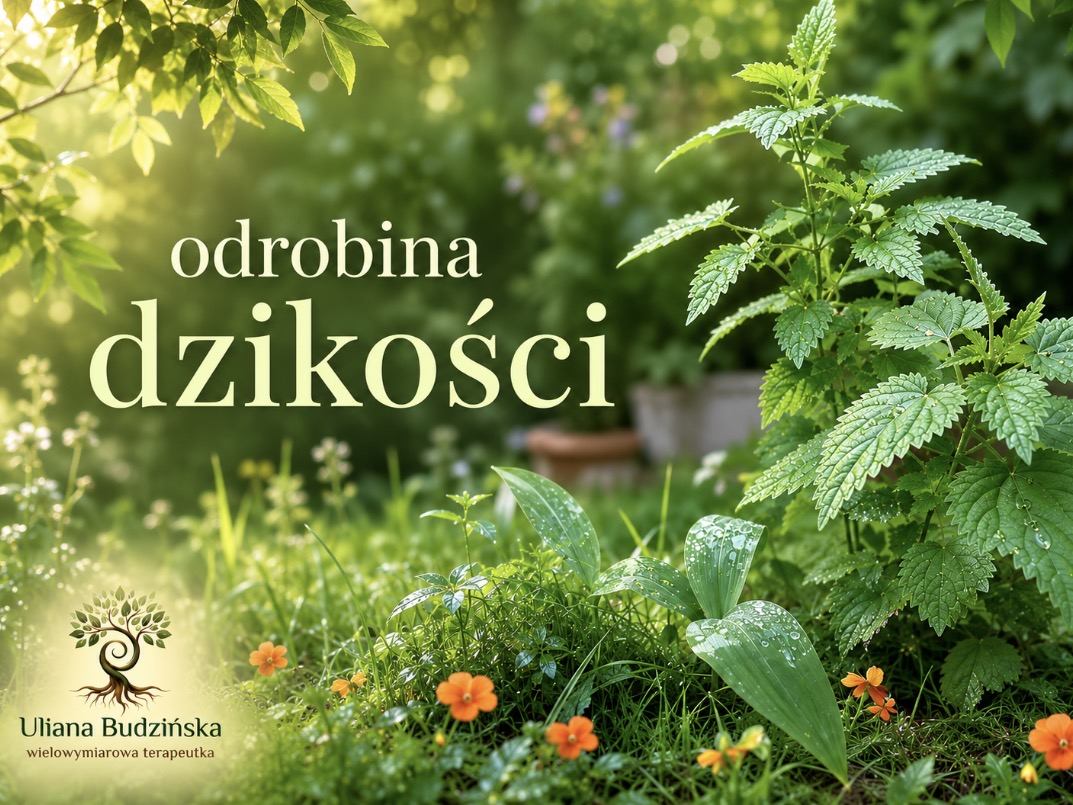 Read more about the article Niezaproszona…