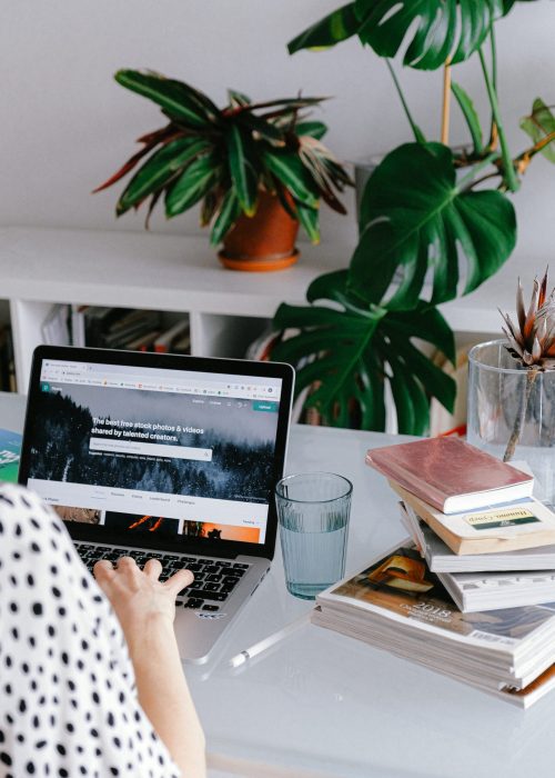 pexels-anna-shvets-3987020